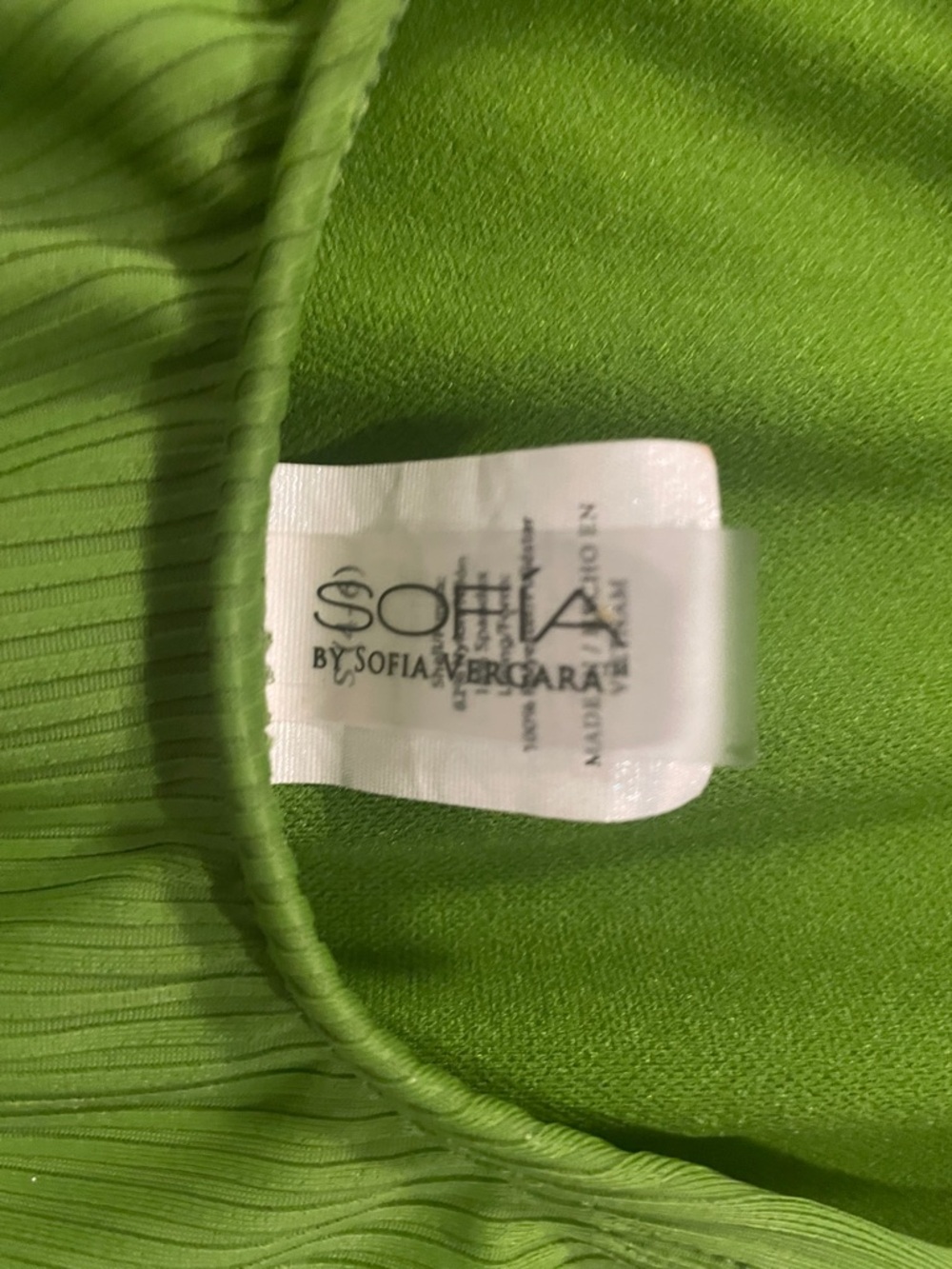sofia by sofia vergara Green Ribbed One-Piece Swimsuit with Gold Clasp - Picture 5 of 5